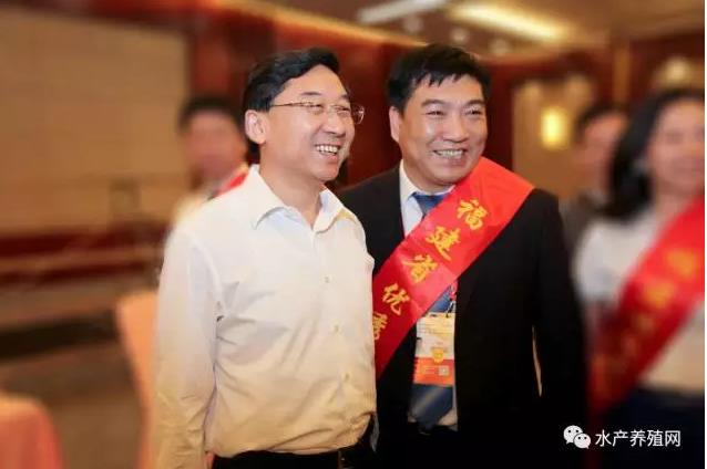 六合资面料大全