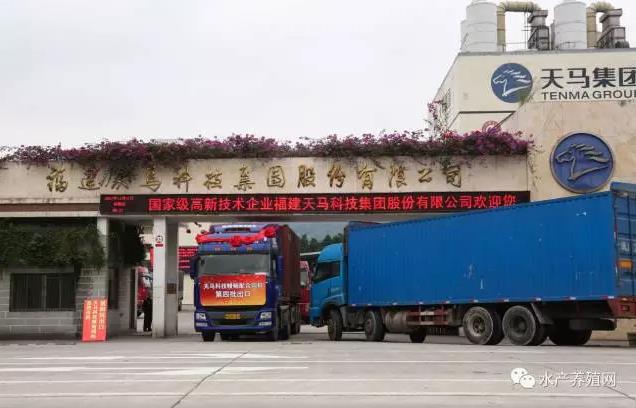 六合资面料大全
