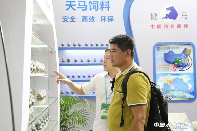 六合资面料大全