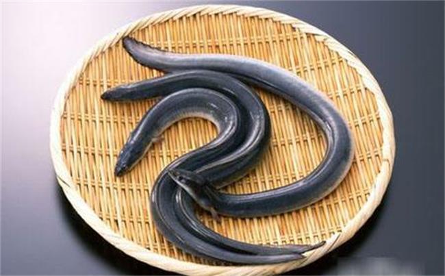 六合资面料大全