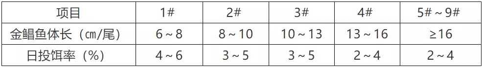 六合资面料大全