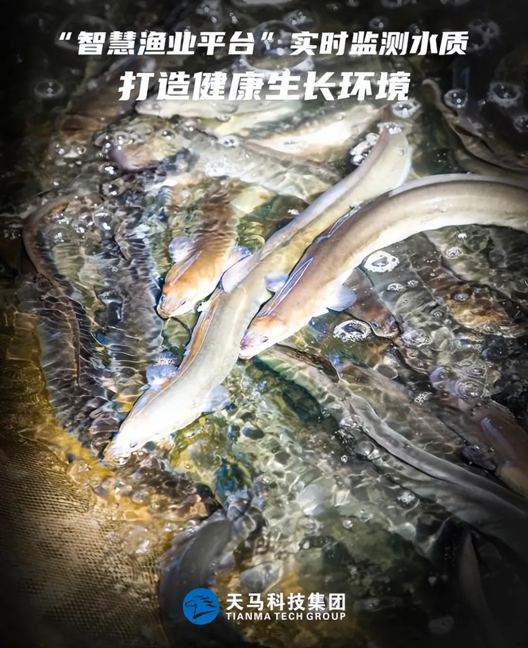六合资面料大全